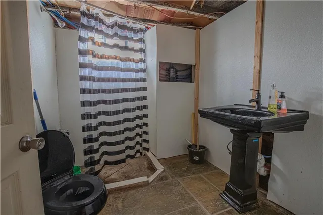 a view of a backyard with a large tree