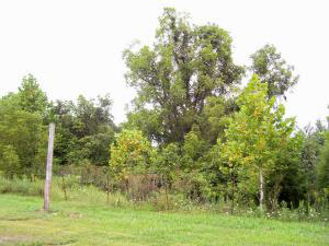 689 Sportsman Club Road Mitchell, IN 47446 - Photo 7 of 7