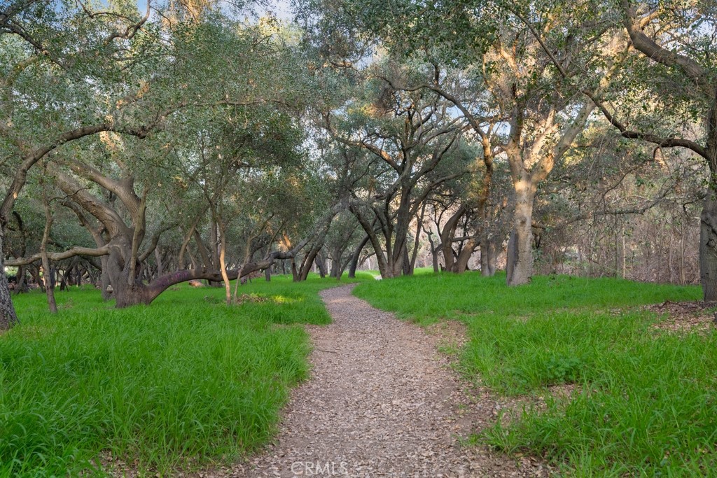 1243 Liverpool Court San Dimas, CA 91773 - Photo 4 of 50