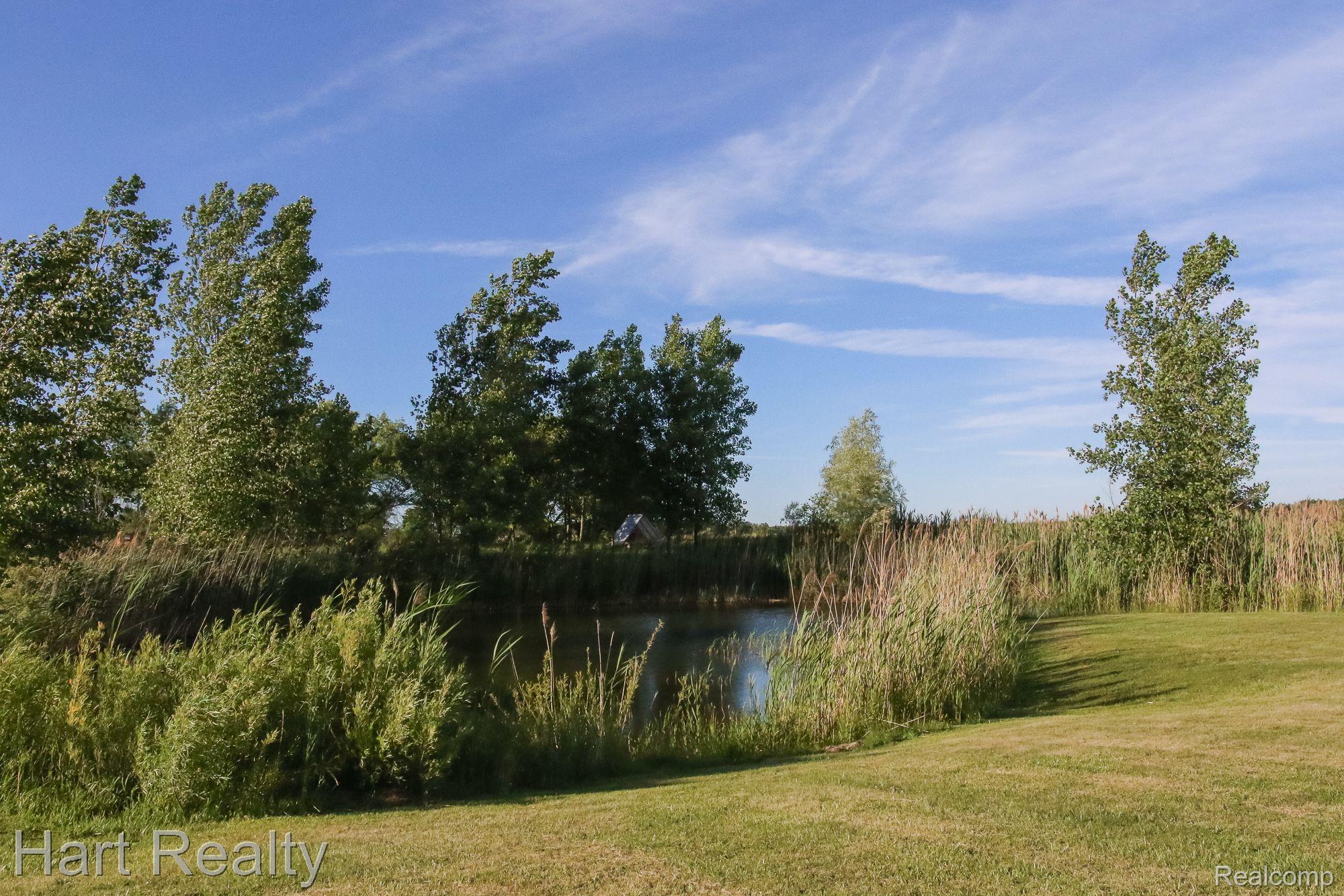 7838 North Lapeer Road Fostoria, MI 48435 - Photo 40 of 50 Gallery Image 40
