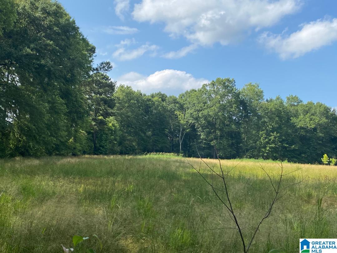 Russell Dairy Road Jasper, AL 35503 - Photo 2 of 3