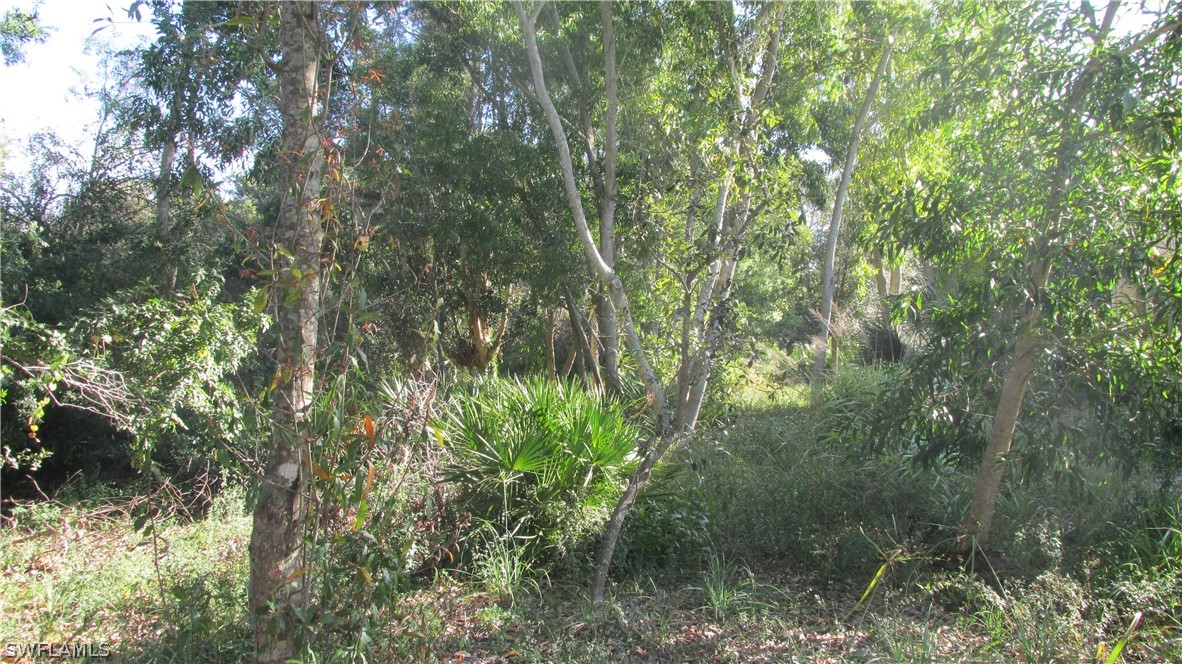 10670 Russell Road Bokeelia, FL 33922 - Photo 2 of 6 a view of a forest with lush green forest
