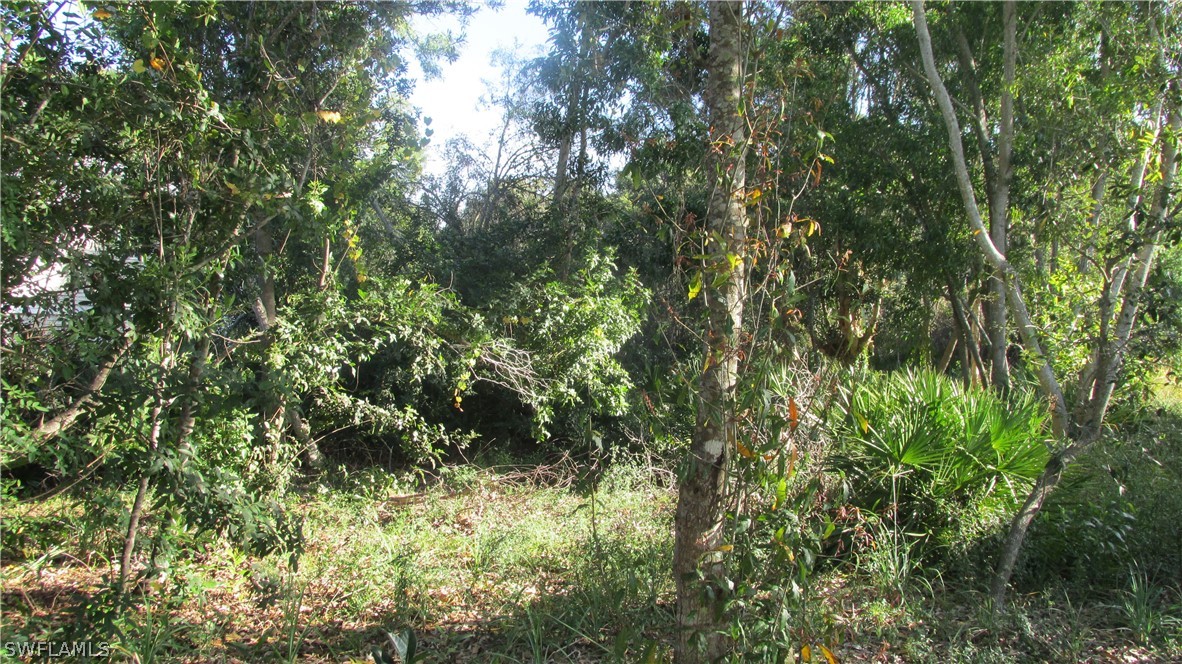 10670 Russell Road Bokeelia, FL 33922 - Photo 3 of 6 a view of a lush green forest