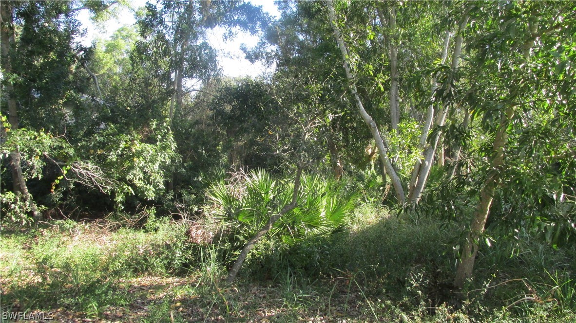 10670 Russell Road Bokeelia, FL 33922 - Photo 4 of 6 a view of a lush green forest