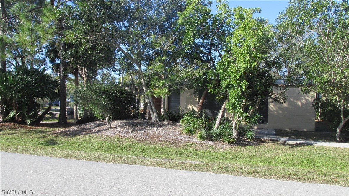 10670 Russell Road Bokeelia, FL 33922 - Photo 5 of 6 a small garden covered with tall trees