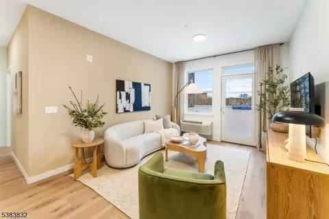a living room with furniture potted plant and a flat screen tv