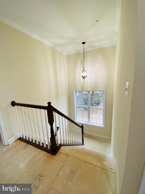 101 Calvert Towne Road Prince Frederick, MD 20678 - Photo 13 of 18
