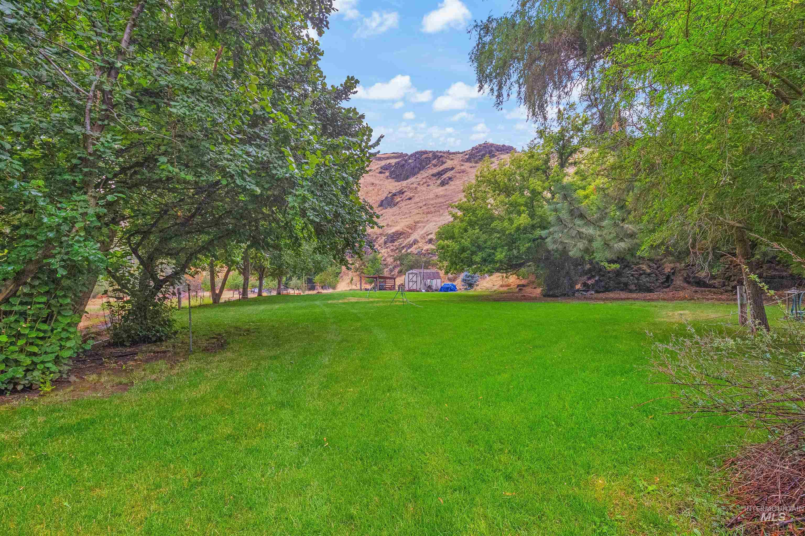 8385 Asotin Creek Road Asotin, WA 99402 - Photo 43 of 46 View of green lawn with a mountain view