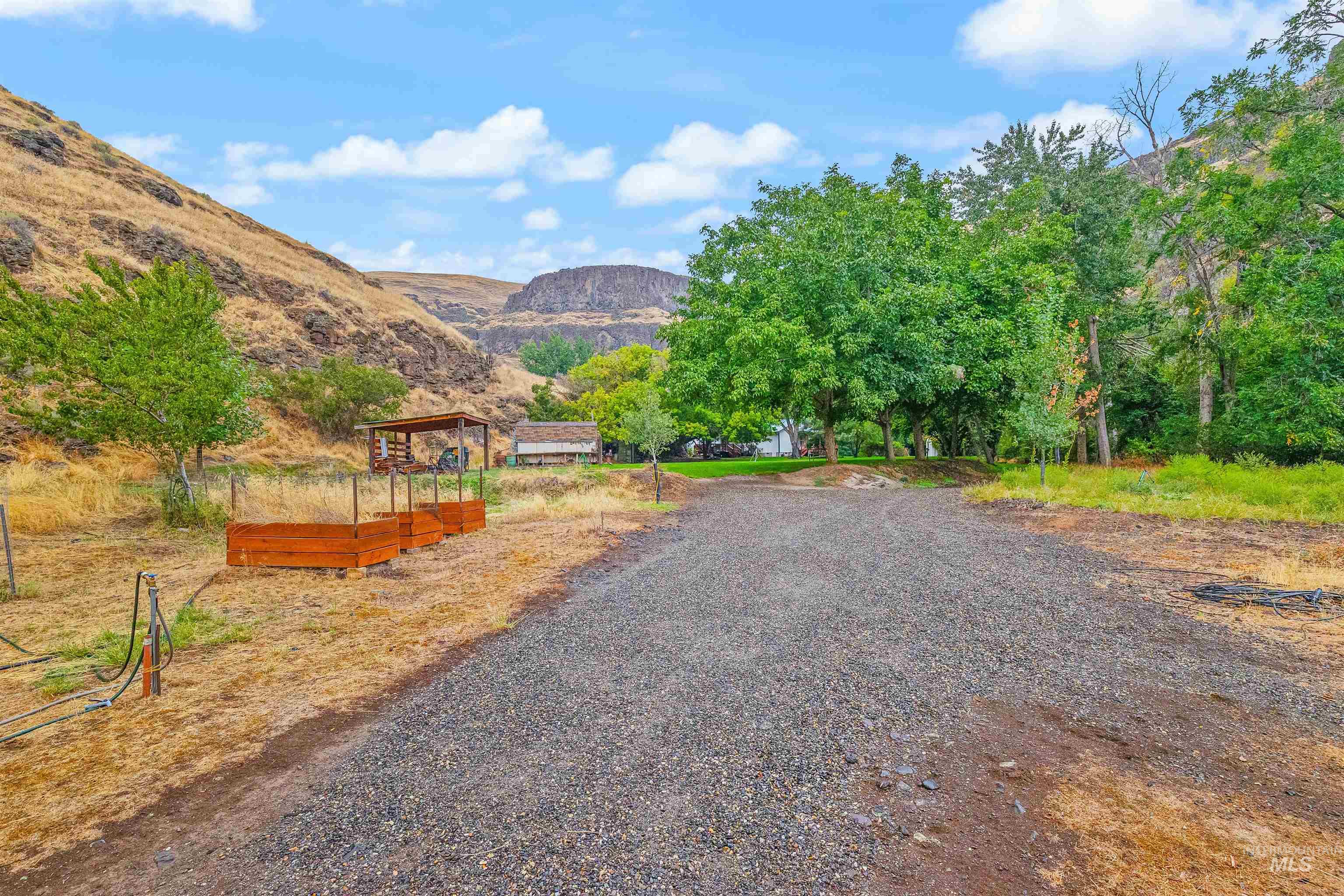 8385 Asotin Creek Road Asotin, WA 99402 - Photo 45 of 46 View of dirt / gravel driveway with a mountain view