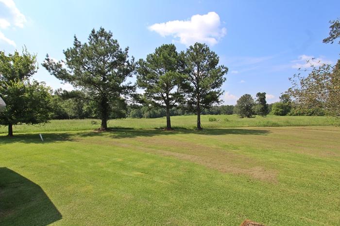 1075 Co Road Flat Rock, AL 35966 - Photo 29 of 59 IMG_1840
