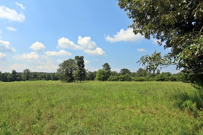 1075 Co Road Flat Rock, AL 35966 - Photo 47 of 59 IMG_1862