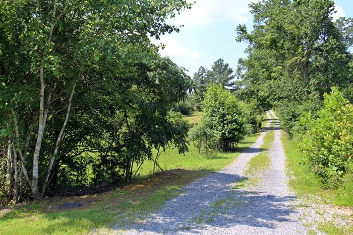 1075 Co Road Flat Rock, AL 35966 - Photo 50 of 59 IMG_1868