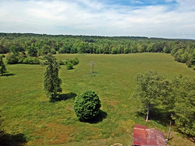 1075 Co Road Flat Rock, AL 35966 - Photo 57 of 59 1075 CR 118DJI_0775