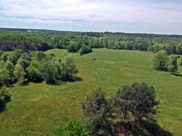 1075 Co Road Flat Rock, AL 35966 - Photo 58 of 59 1075 CR 118DJI_0776