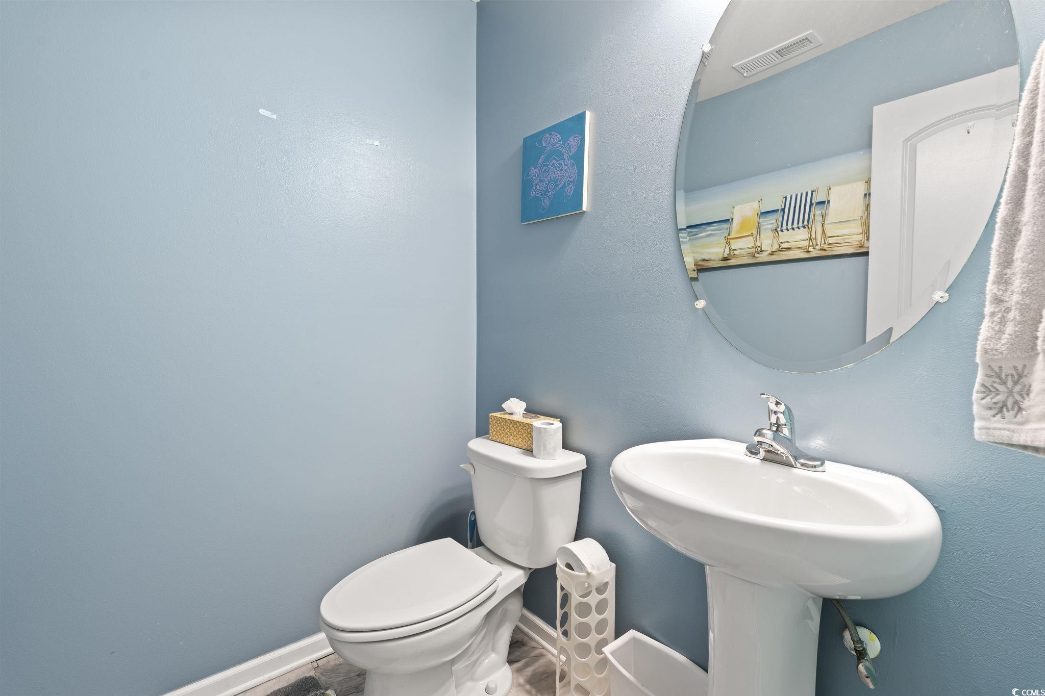 109 Winding Path Drive Loris, SC 29569 - Photo 16 of 36