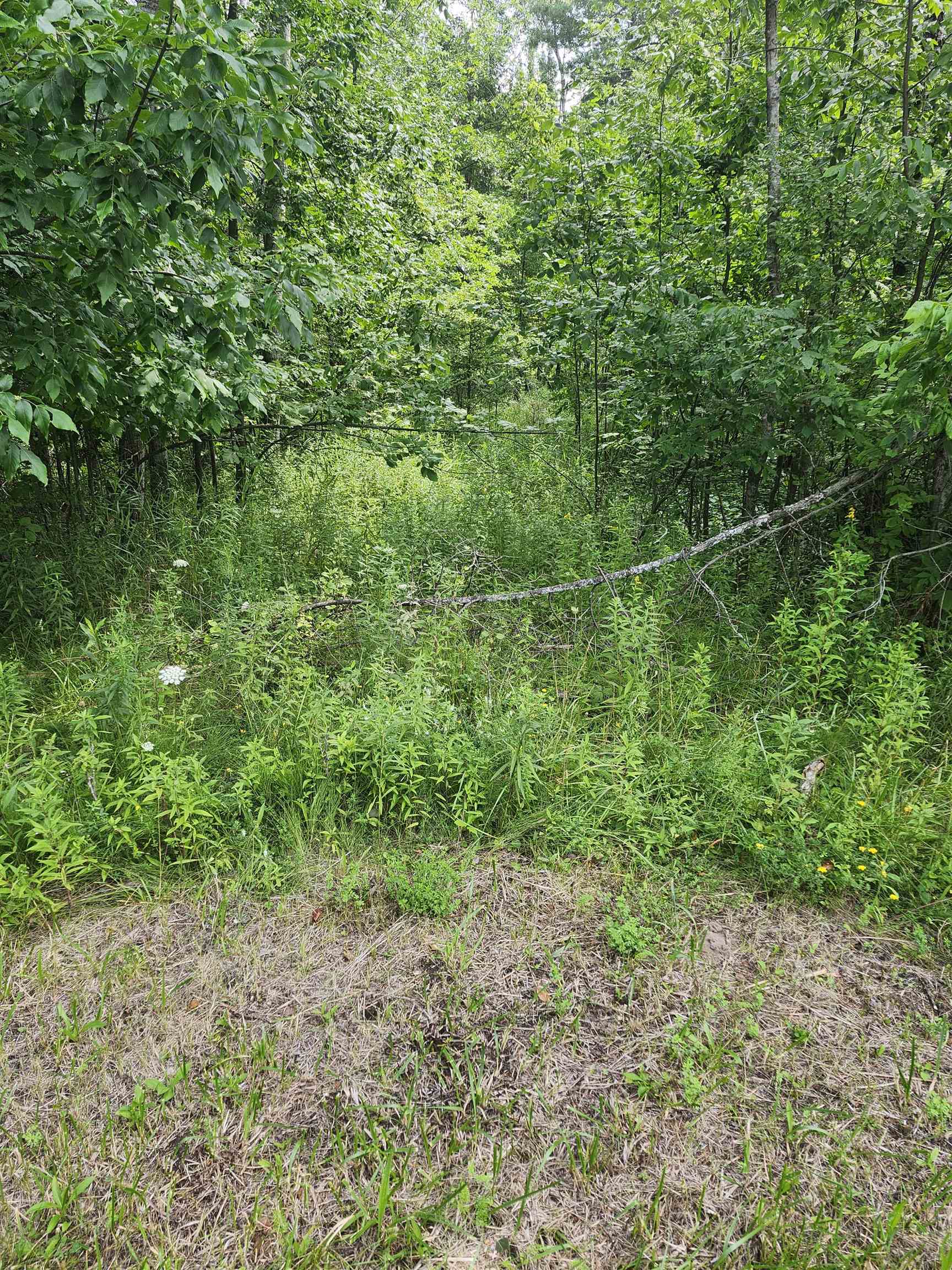 2751 Boughner Lake Road Prescott, MI 48756 - Photo 2 of 6 1950476-cf512dc8-38e9-49c7-b8e7-2430d81e2d26.JPG