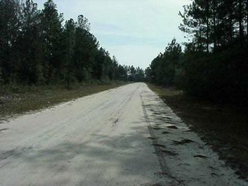 212 James Pitts Road Wewahitchka, FL 32465 - Photo 1 of 1