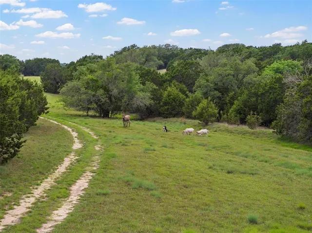 a backyard of a house with lots of green space