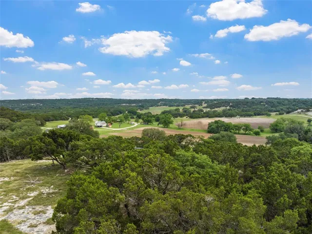 a view of a city with lots of trees