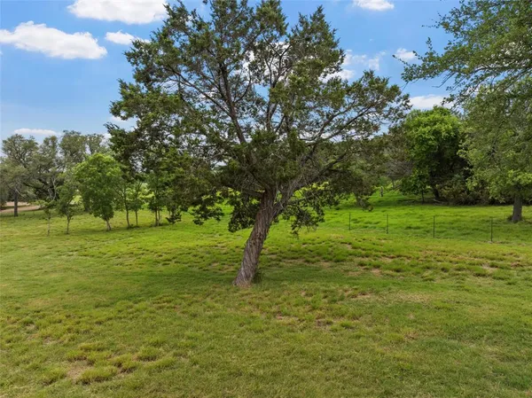 a big yard with lots of green space and trees