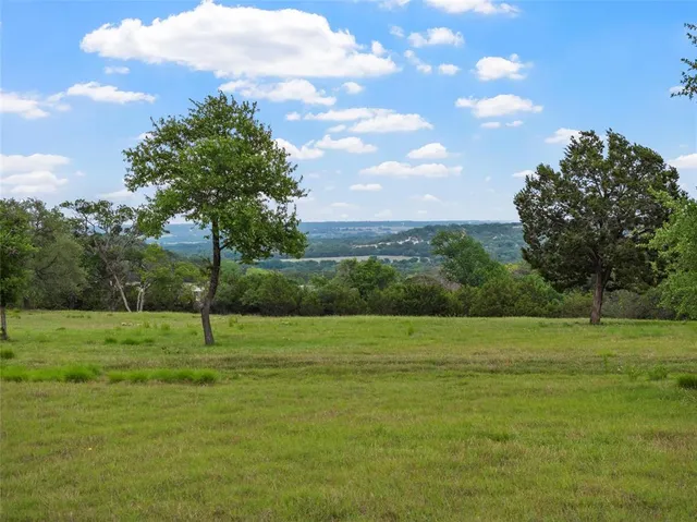 a view of a forest with trees in the background