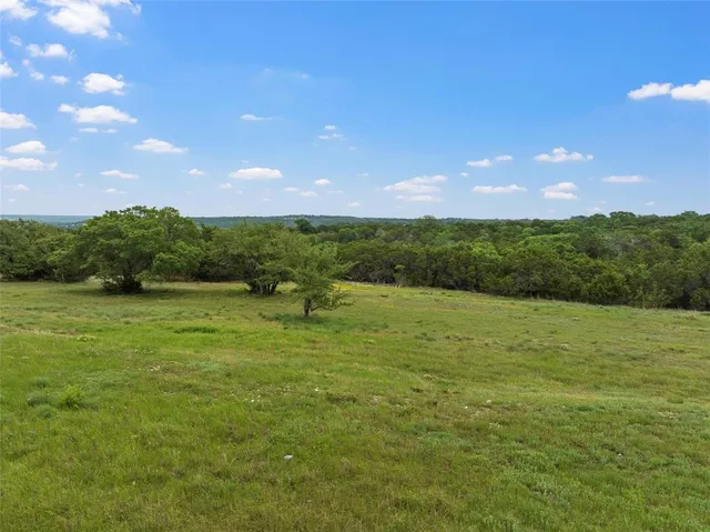 a view of a city with lots of green space