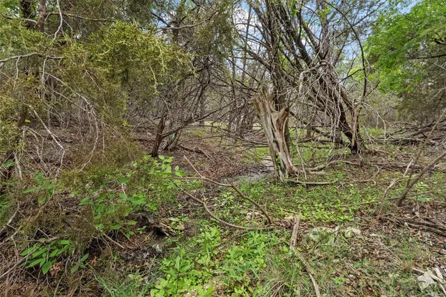 a view of an outdoor space and a yard
