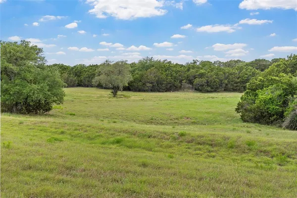 a view of plant in middle of the green field