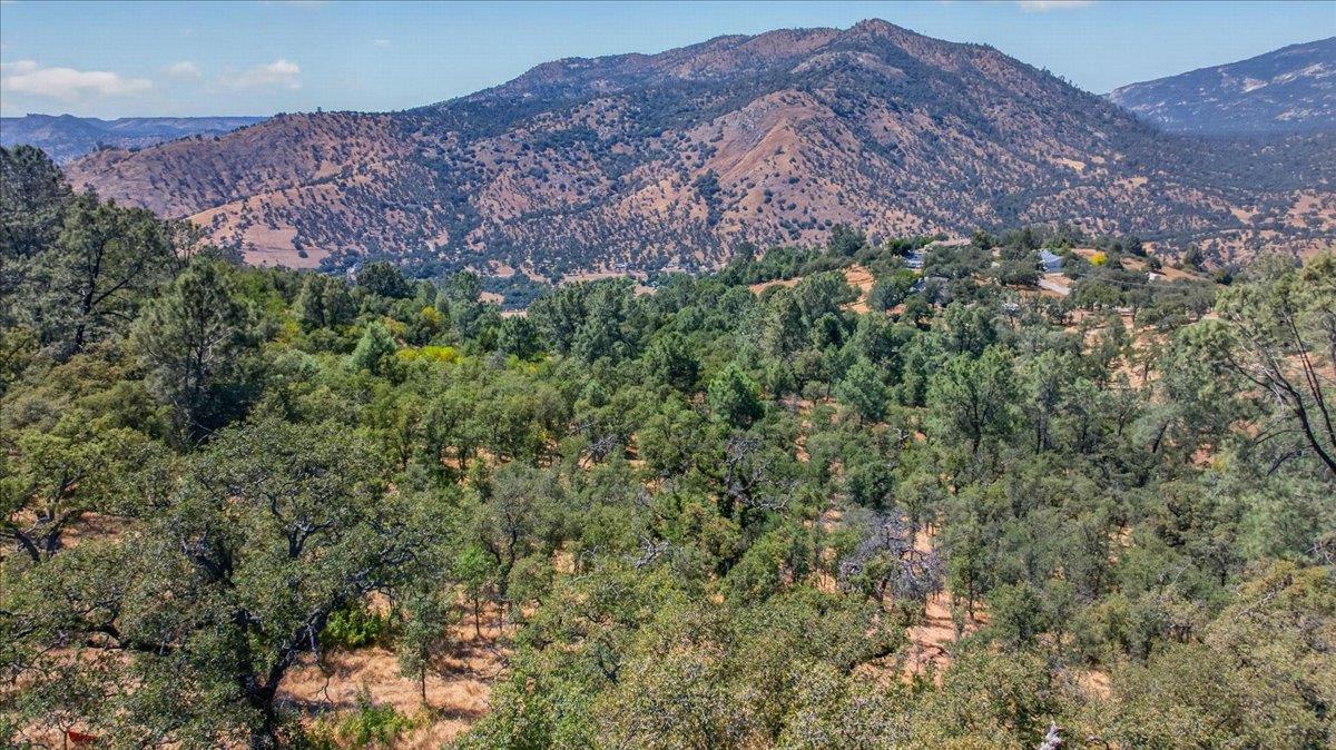 28945 Bonneyview Road Tollhouse, CA 93667 - Photo 41 of 54