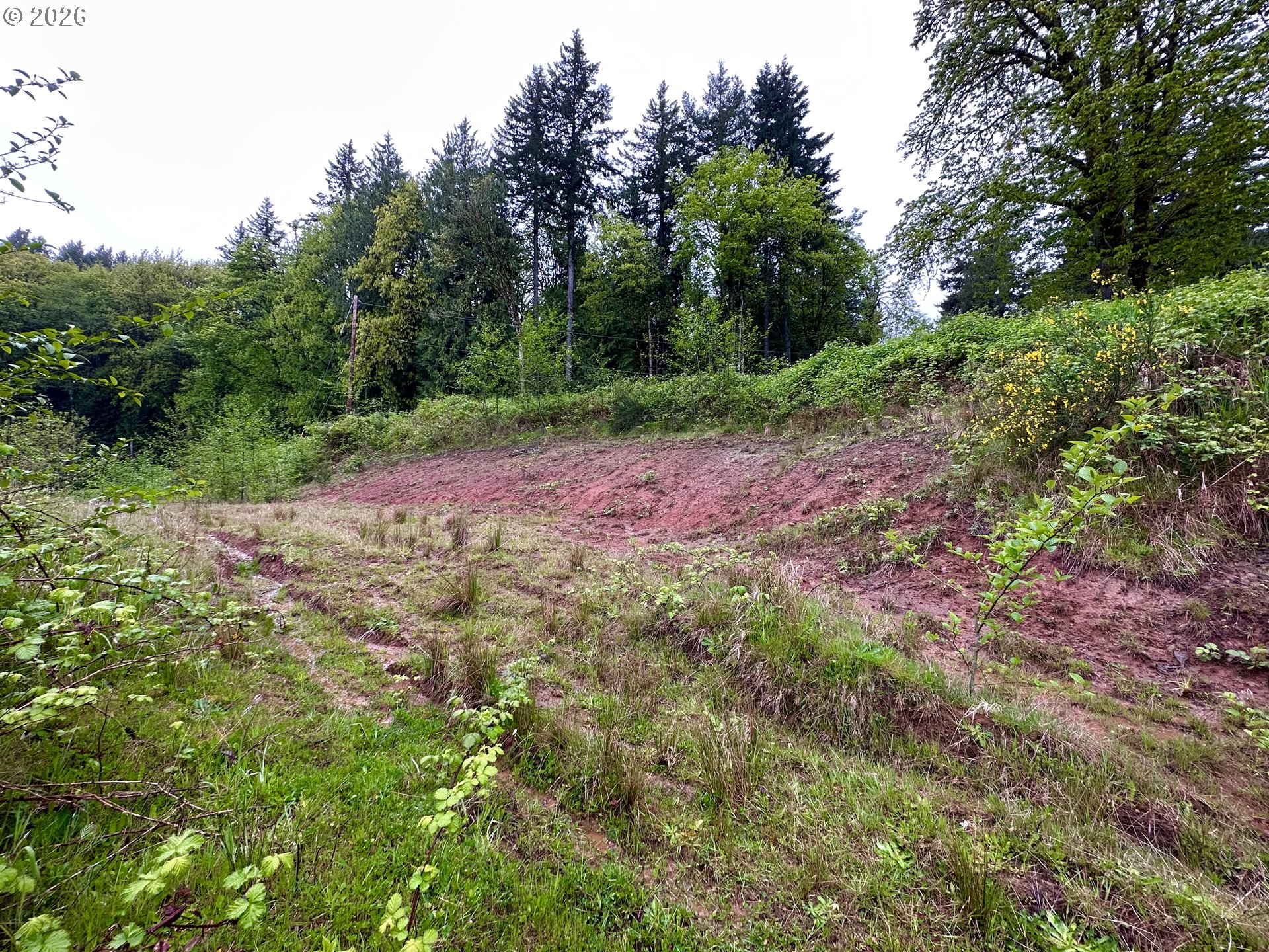 19538 Old Rainier Road Rainier, OR 97048 - Photo 8 of 13