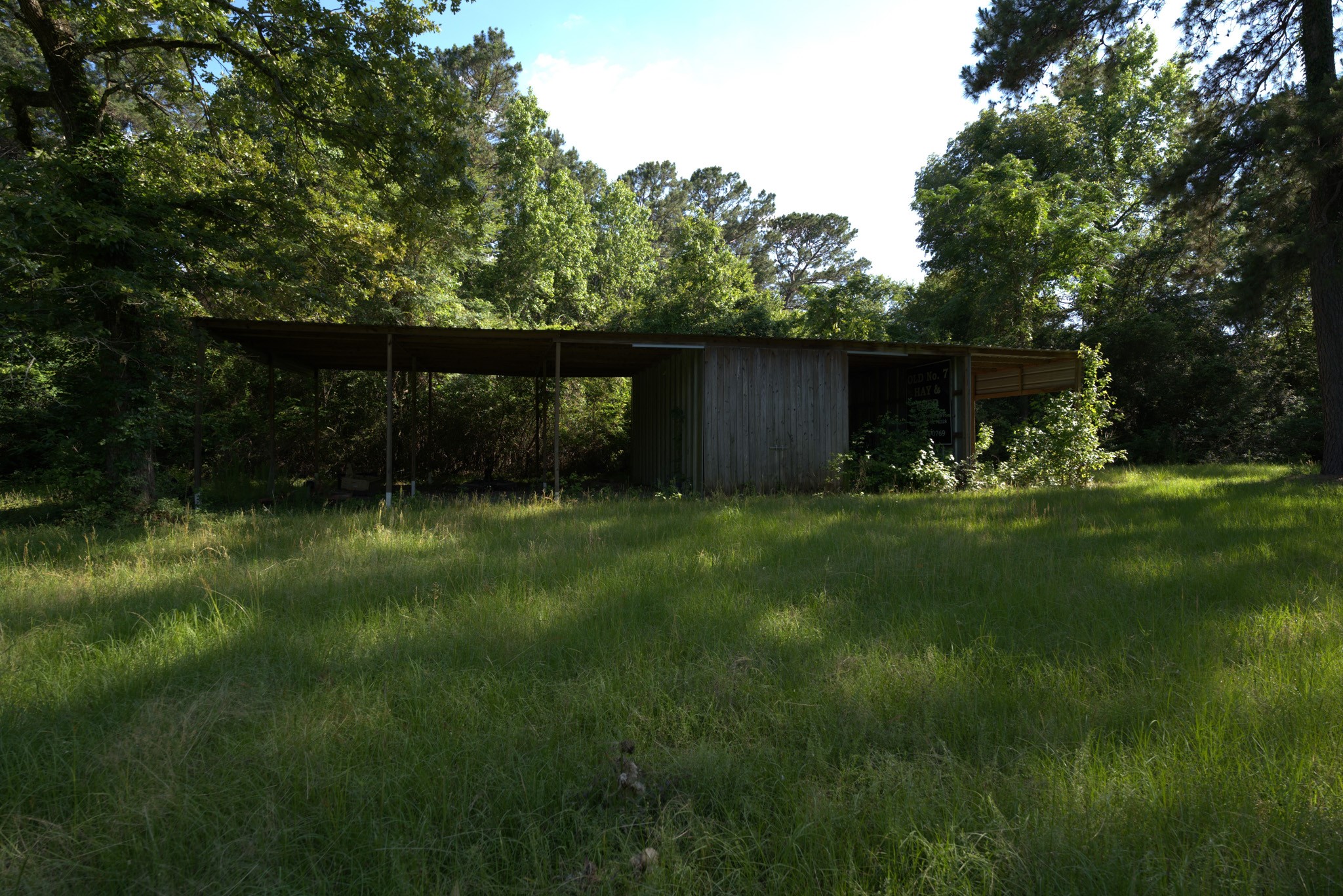 3309 Honea Egypt Road Montgomery, TX 77316 - Photo 22 of 40