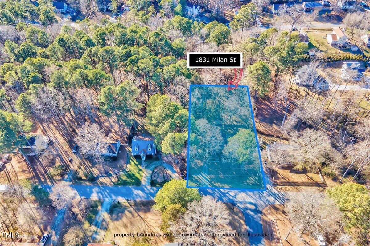 1831 Milan Street Durham, NC 27704 - Photo 37 of 38 a view of a tree with a yard