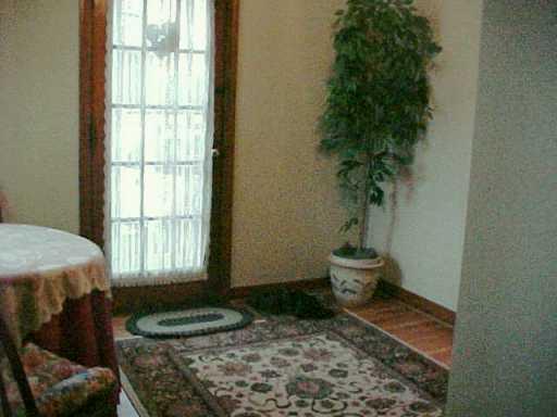 30 Forest Grove Road Coraopolis, PA 15108 - Photo 3 of 8 Other.