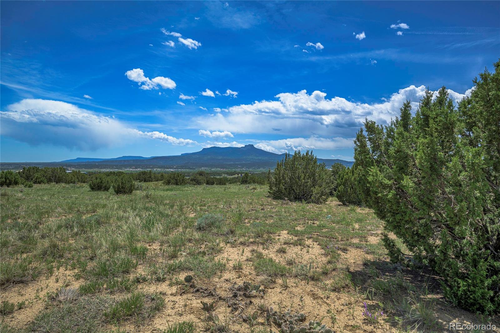 71.1 County Road Trinidad, CO 81082 - Photo 13 of 31