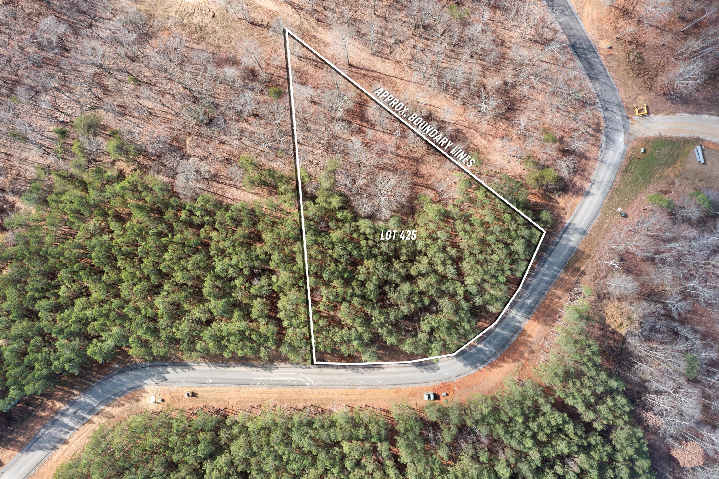 0 Moonlight Lane, Unit JF425 Jasper, TN 37347 - Photo 4 of 35 4-DJI_0079