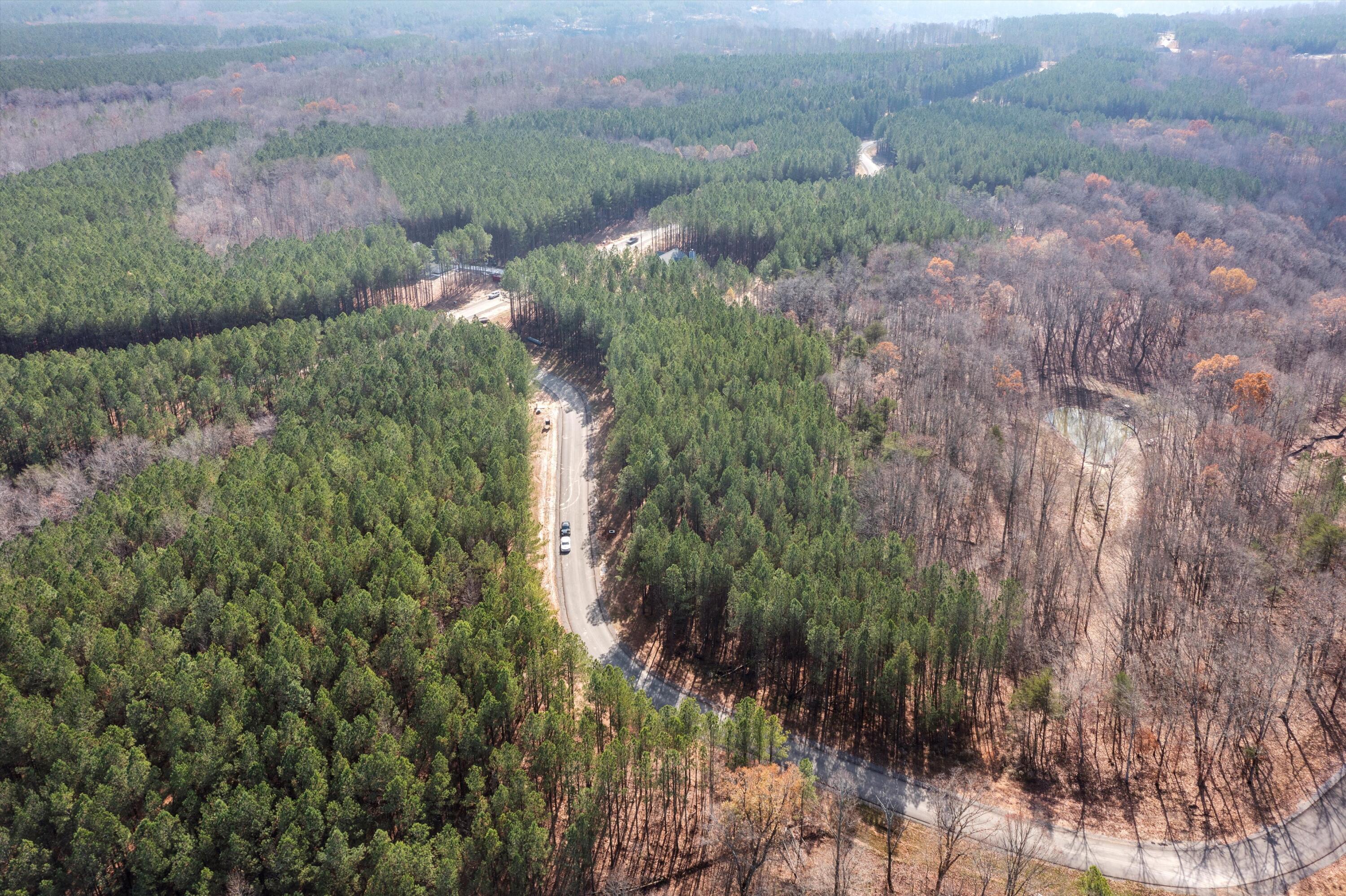 0 Moonlight Lane, Unit JF425 Jasper, TN 37347 - Photo 5 of 35 5-DJI_0064