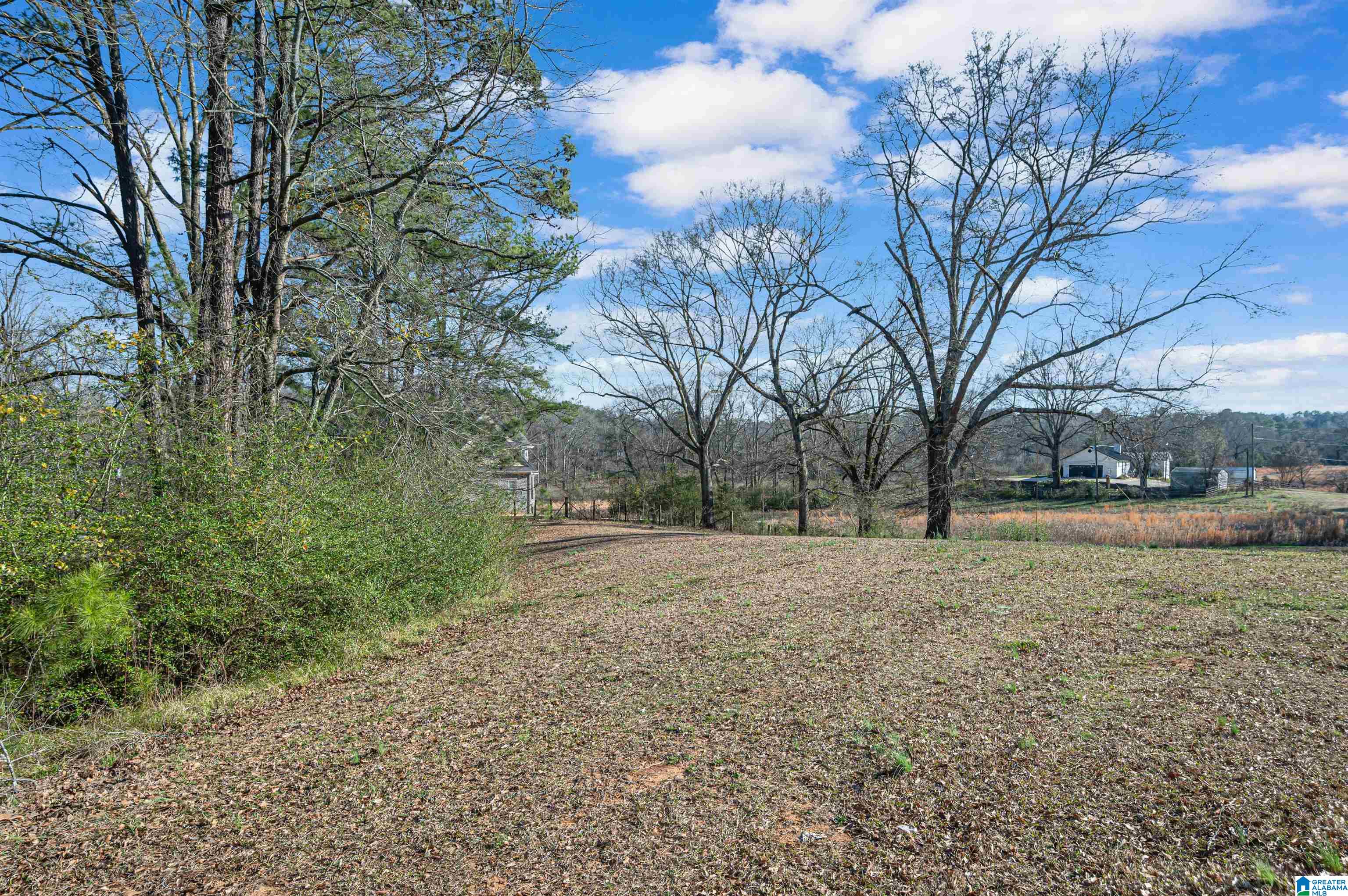 226 Aviation Road Southeast Bessemer, AL 35022 - Photo 36 of 43