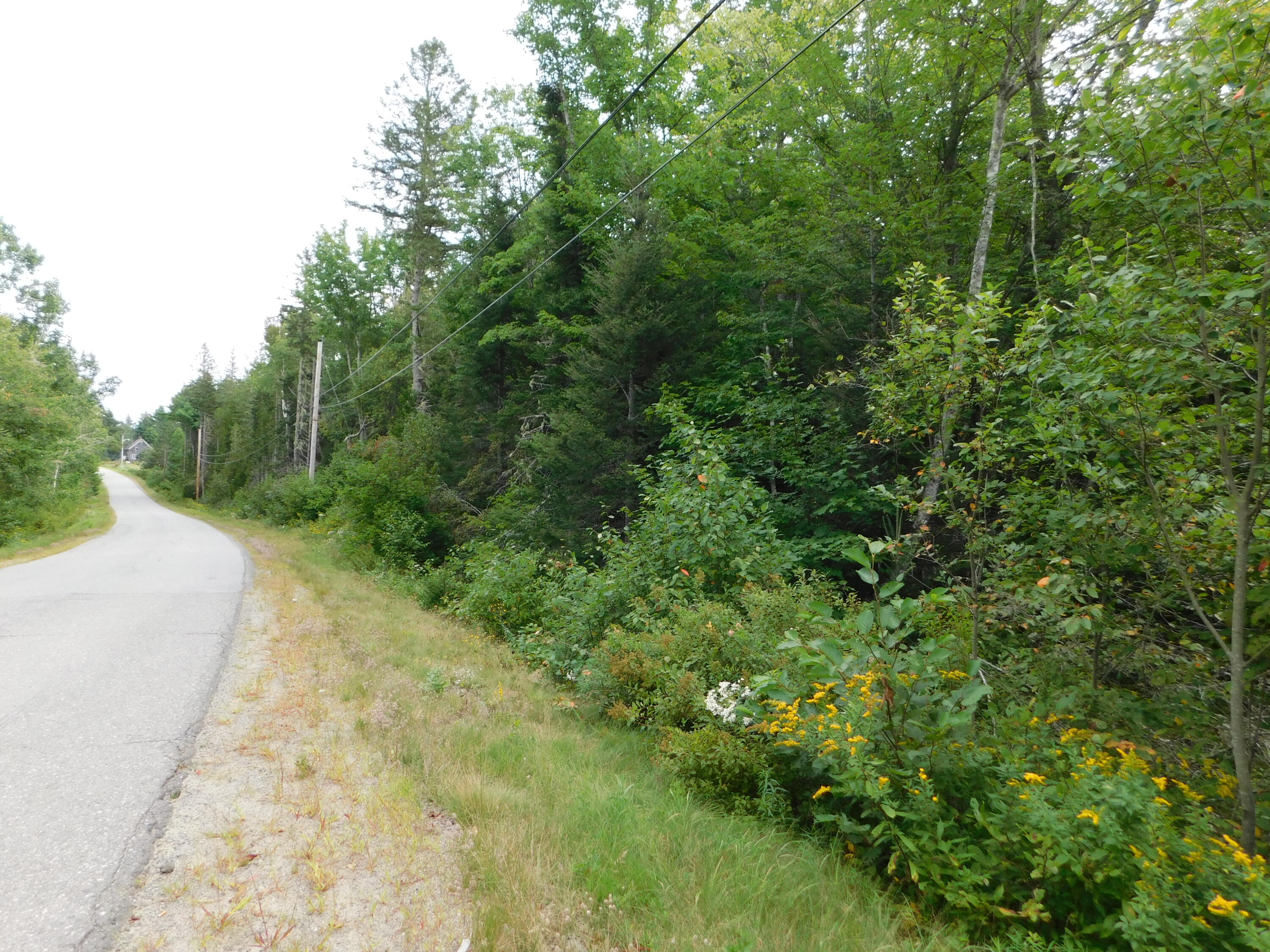 Xx Xx Harrison Road Dennysville, ME 04628 - Photo 2 of 23 DSCN0172