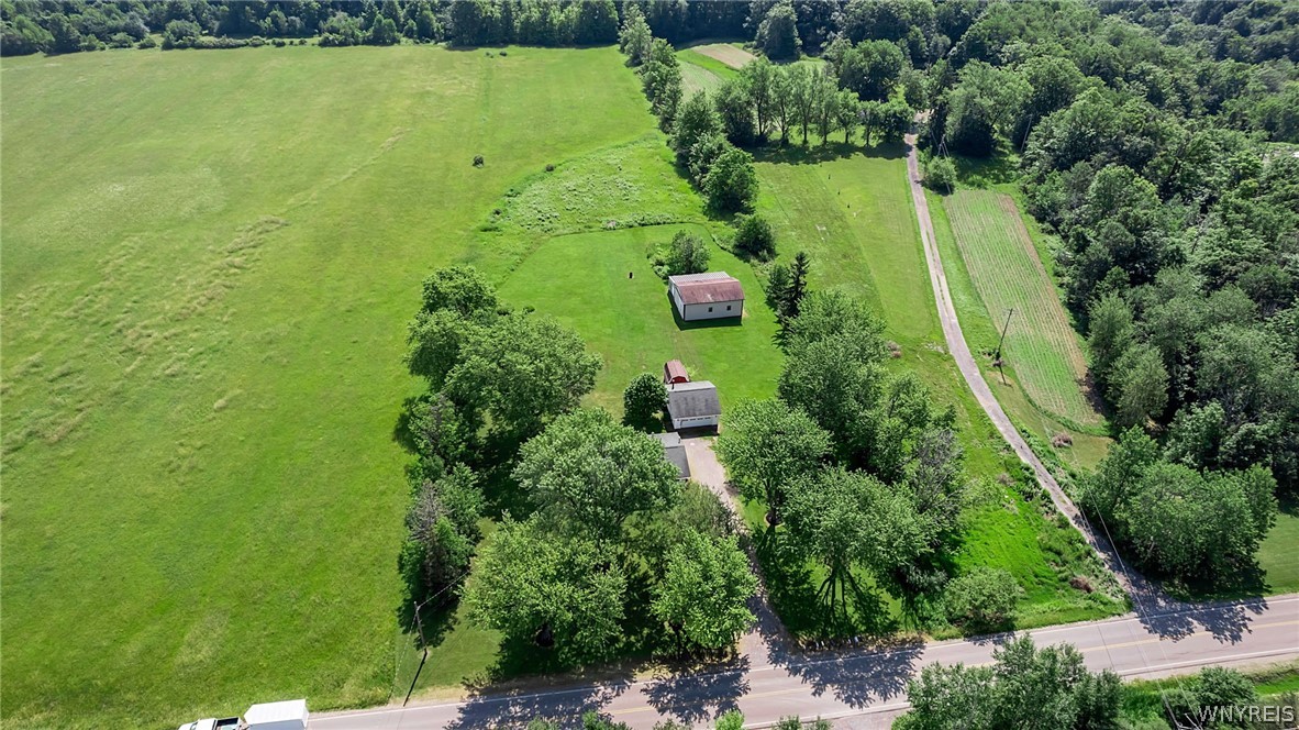 8009 Lewis Road Colden, NY 14080 - Photo 43 of 50