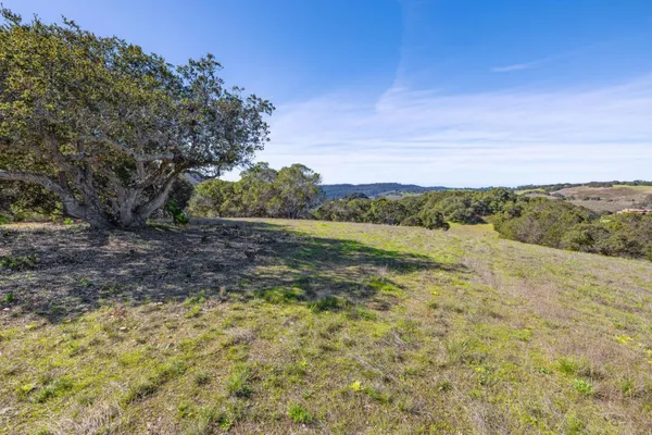a view of a field with an ocean