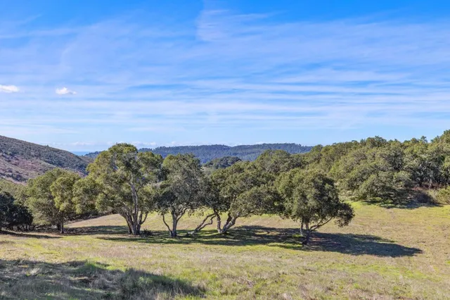 a view of a yard with a mountain