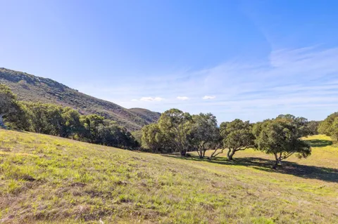 a view of yard with outdoor space
