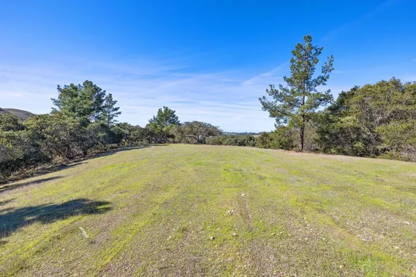 a view of a yard with a mountain