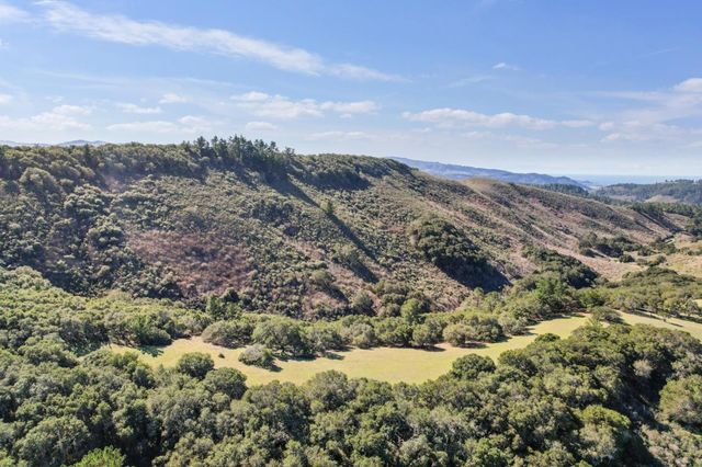 a view of a large green field with lots of bushes and mountain view