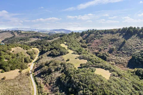 an aerial view of houses covered in trees