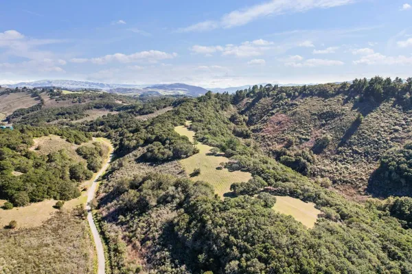 an aerial view of houses covered in trees