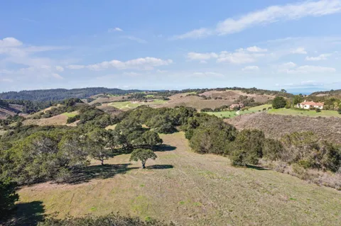 a view of a yard with an trees