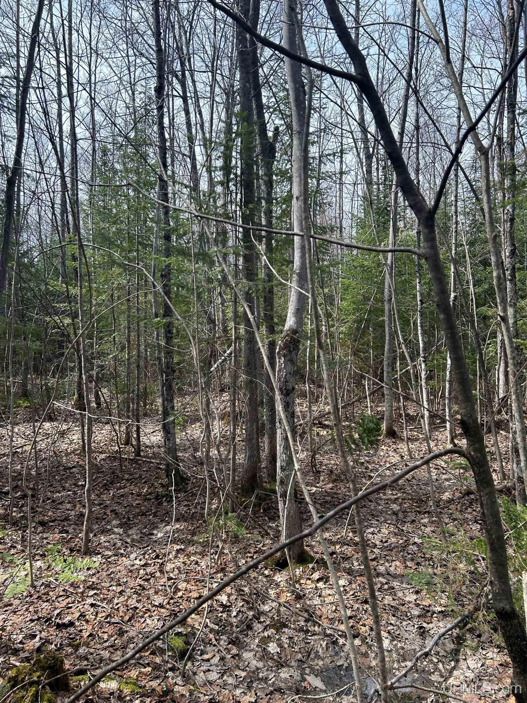 4-10 Firesteel Road Ontonagon, MI 49953 - Photo 8 of 28