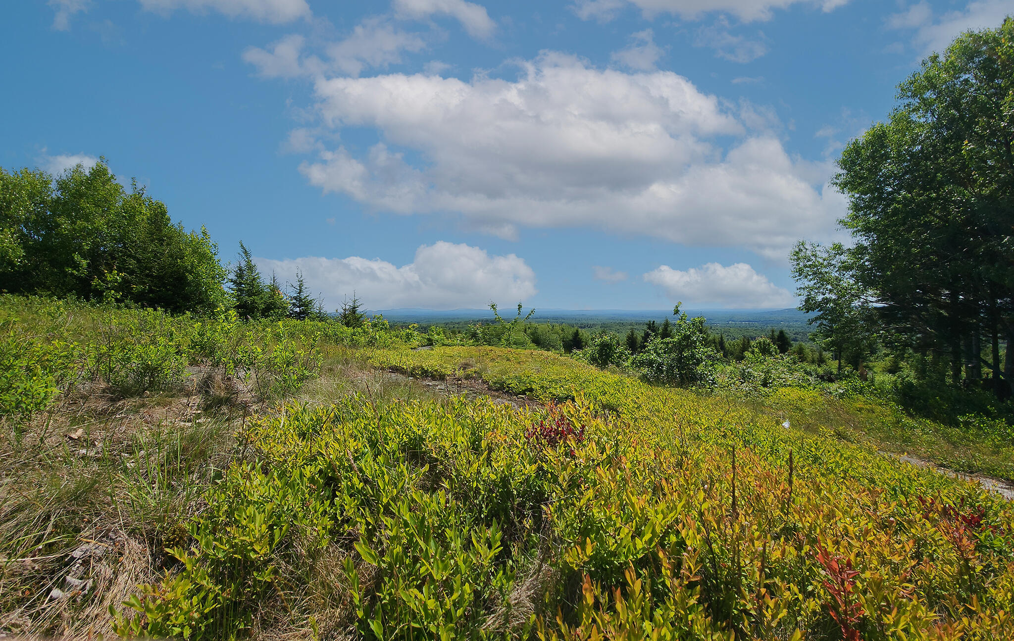 533 Mt Ephraim Road Searsport, ME 04974 - Photo 30 of 70