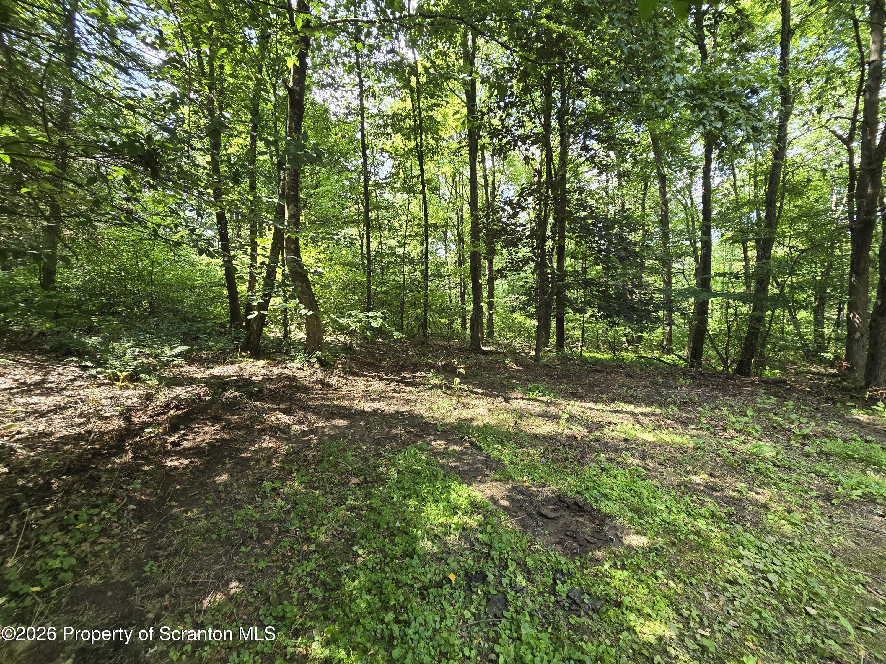 714 Downs Road Susquehanna, PA 18847 - Photo 37 of 39 20260814_144148